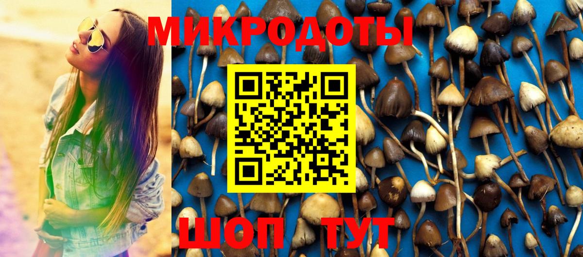 Псилоцибиновые грибы MAGIC MUSHROOMS Лесосибирск