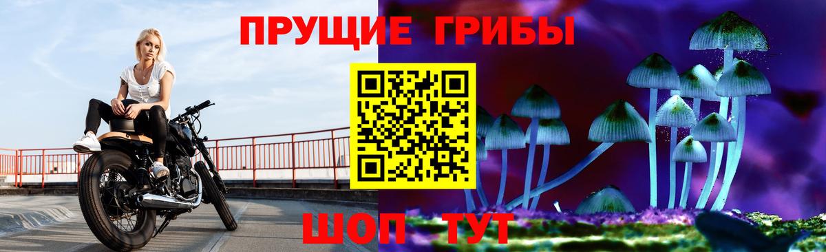 Галлюциногенные грибы прущие грибы  Псилоцибиновые грибы ЛСД  Лесосибирск  Вход с VPN 
